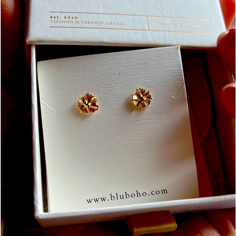 Bluboho x Jillybox Earrings Never Worn